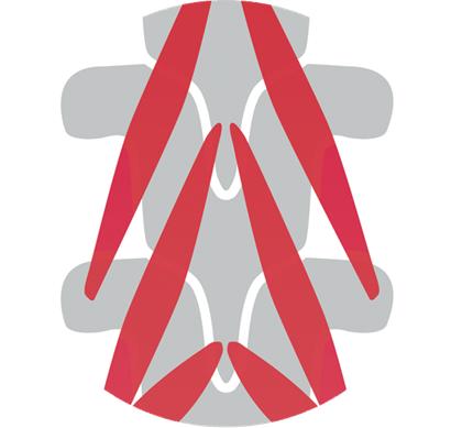 Logo für Multifidi.JPG